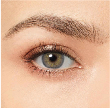 Magister | Shadow Gray