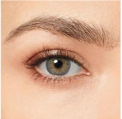 Magister | Shadow Gray